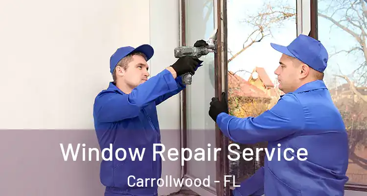  Window Repair Service Carrollwood - FL