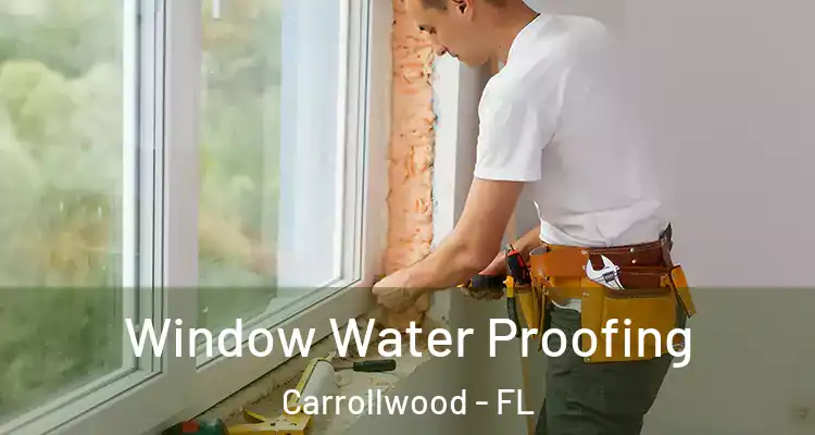 Window Water Proofing Carrollwood - FL