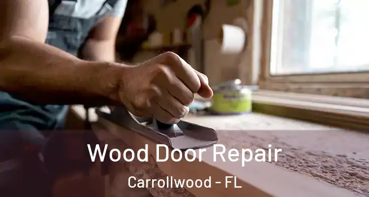  Wood Door Repair Carrollwood - FL